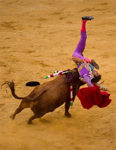 spanish bullfighting battles for survival the denver post