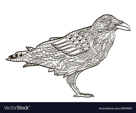bird raven coloring book  adults royalty  vector