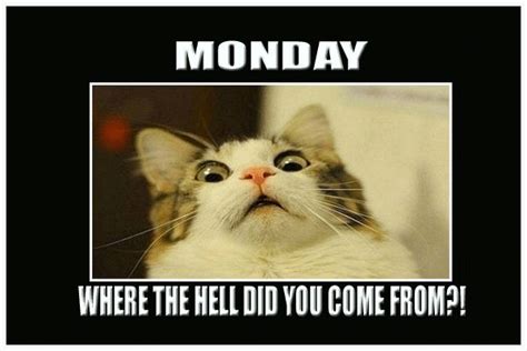 17 best images about some days on pinterest saturday morning mondays and happy sunday