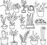 Drawing Line Plants Drawn Plant House Vector Illustration Plantas Dibujos Dibujar Hand Macetas Como Para Dibujo Cactus Pots Sketches Cómo sketch template