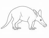 Aardvark Coloring Draw Drawing Pages Simple Step Wild Animals Kids sketch template