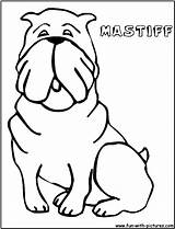 Mastiff Coloring Pages Henry Craft School After Mudge Color Getcolorings Aloud Read Print Kids Fun sketch template