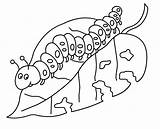 Caterpillar Hungry Very Coloring Pages Printables Printable Getdrawings sketch template