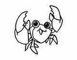 Uma Marinos Necora Dibuixos Marinhos Crab Cangrejo Marins Granchi Crabes Colorier Acolore Marini étrille Coloringcrew Coloritou Coloriages sketch template
