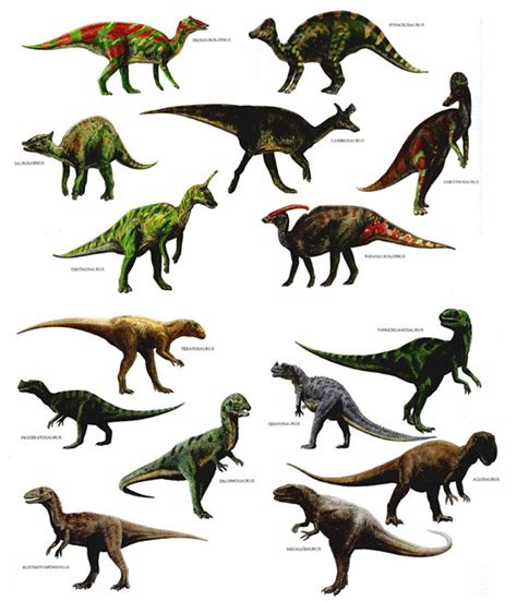 dinosaur facts  facts  dinosaurs factslides