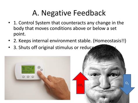 negative feedback examples bezyviewer