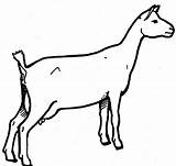 Cabra Cabras Desenho Goats Paisagem Observando Colorear Tudodesenhos Granjas Prediseñadas Páginas Clipartmag Tablero Escolha sketch template