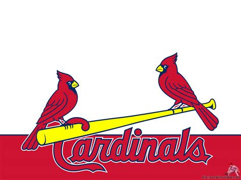 st louis cardinals logo vector   st louis cardinals