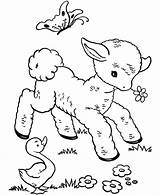 Coloring Pages Babies Animals Their Getcolorings sketch template
