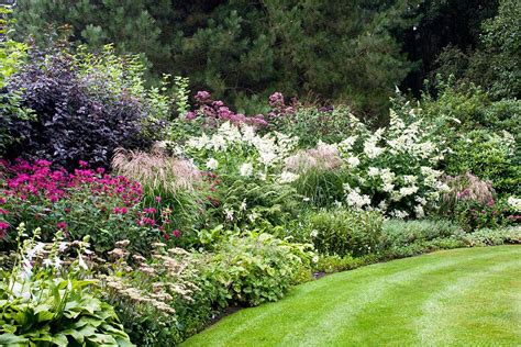 dina deferme garden  august borders met vaste planten achtertuin planten tuin