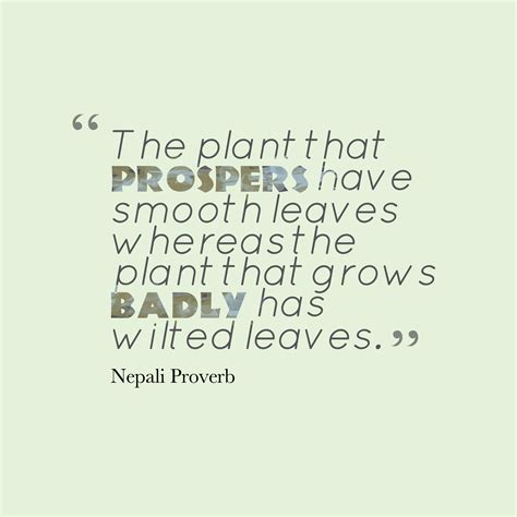 25 nepali quotes to get you inspired page 1 of 2