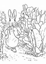 Radish Walking Coloringsky Bunny sketch template