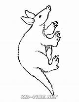 Aardvark sketch template
