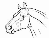 Horse Head Drawing Easy Cartoon Drawings Simple Coloring Pages Draw Lineart Book Horses Heads Getdrawings Google Deviantart Animal Visit Paintingvalley sketch template