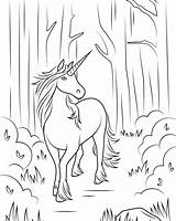 Unicorn Ius sketch template