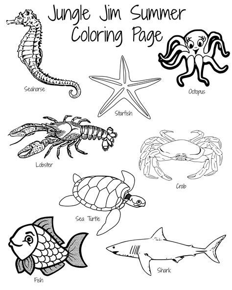 ocean animals coloring pages  preschool