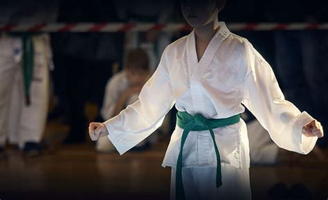 What Is The Order Of Taekwondo Belts Tae Kwon Do Nation