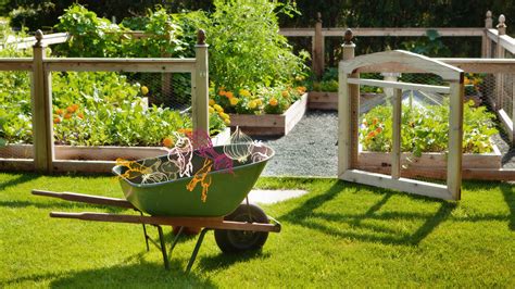 backyard vegetable garden ideas  beginners architectural digest