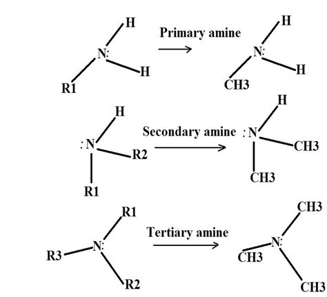 identify  classify amines examples  characteristics functional group methyl