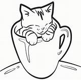 Coloring Kitten Pages Cat Cup Cute Kittens Tea Drawing Realistic Kids Printable Sheets Print Colouring Color Cats Kitty Christmas Lovely sketch template