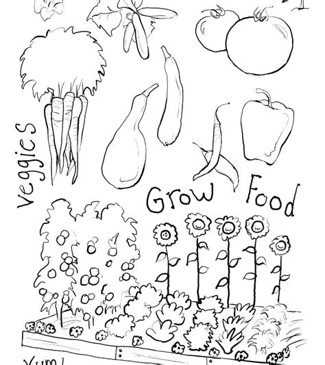 vegetable garden coloring pages sketch coloring page