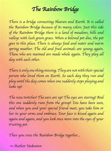 rainbow bridge pet poem printable google search rainbow bridge pet