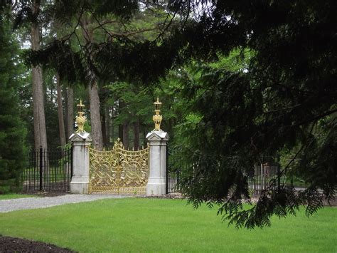 restoration   golden gates gilding  lily