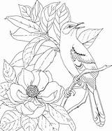 Mississippi Mockingbird Magnolias sketch template
