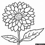 Coloring Marigold Designlooter Flower Pages sketch template