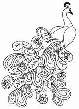 Peacock Paisley Coloring Pages Outline Designs Embroidery Pattern Pavo Real Template Patterns Peacocks Adult Adults Drawing Drawings Line Printable Visit sketch template