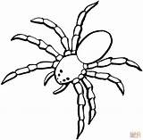 Spider Coloring Pages Color Printable Tablets Compatible Ipad Android Version Click sketch template