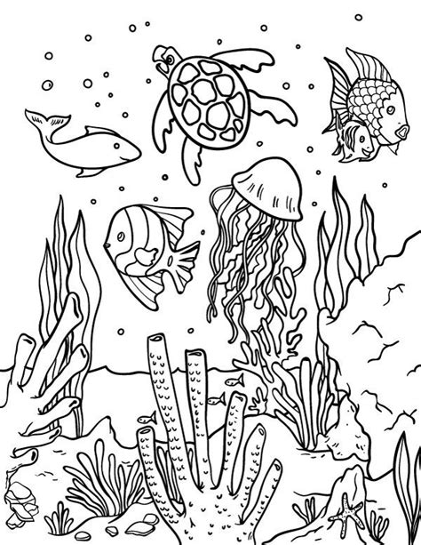 coloring pages water animals book  kids