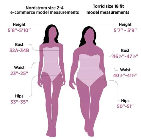 68 of american women wear a size 14 or above size 14 women average
