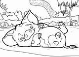 Moana Pua Pages Pig Coloring Coloringpagesonly sketch template