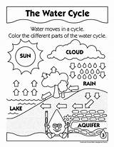Pages Coloring Water Cycle Science Educational Printable School sketch template