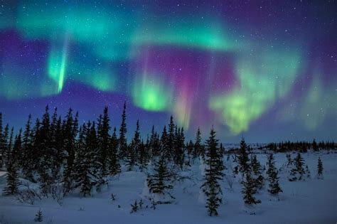arctic nights and northern lights canada by david marx