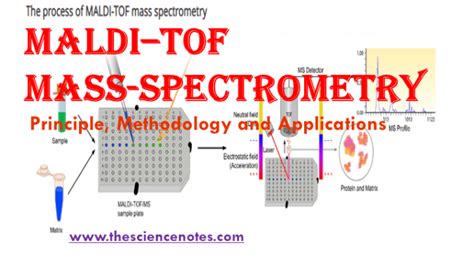 malditof mass spectrometry principle methodology  applications  science notes