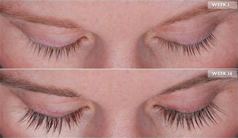 eyelash growth  unmatched beauty women blog