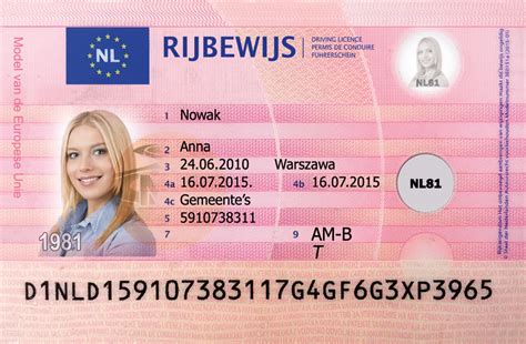 dutch driving licence fake id world