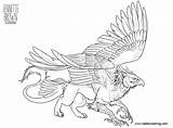 Griffin Coloring Sugarpoultry Sketch Printable Adults sketch template