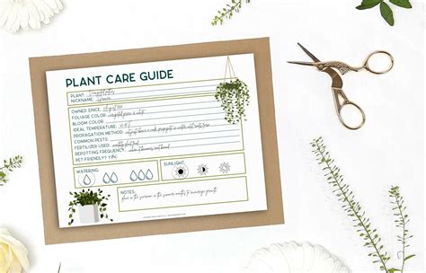printable plant care sheet
