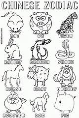 Zodiac Chinese Colouring Exceptional Kids sketch template
