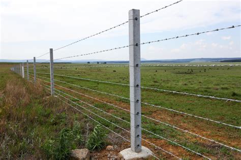 building  electric fence   farm avoid  mistakes  catoico resource medium