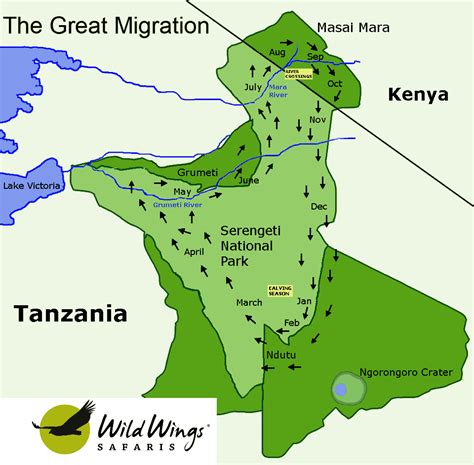 great wildebeest migration  complete guide