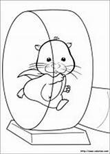 Hamster Zhu Coloriage Roue Animaux Kleurplaten Ausmalbilder Kolorowanki Desenhos Zuzu Colorir Imprimer Coloriages Kolorowanka Malvorlagen Coloriez Animal Druku Hamsters Entraînement sketch template