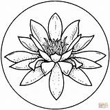Flower Lily Coloring Water Pages Drawing Lilies sketch template