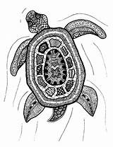 Zentangle Etsy Turtle Print sketch template
