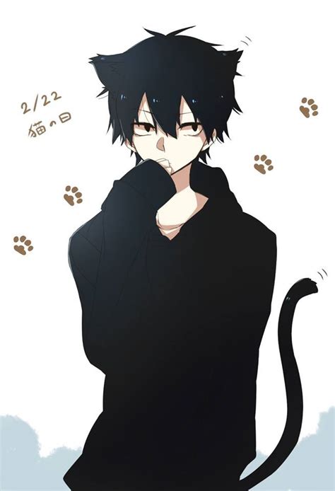 fact shintaro   neko anime neko anime cat boy boy