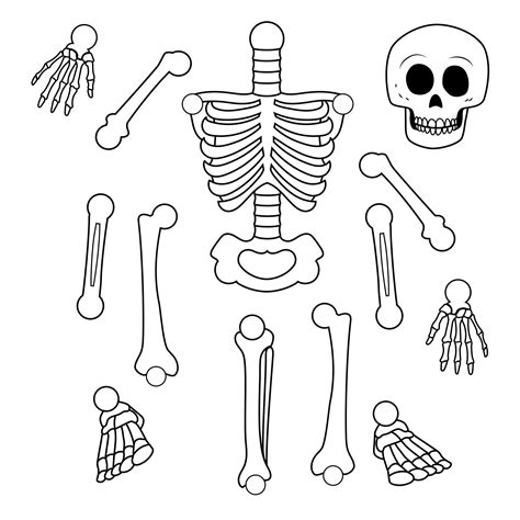 skeleton  bones  outlined  black  white