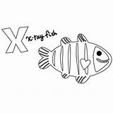 Fish Ray Coloring Drawing Xray Clipart Comments Library Paintingvalley Coloringhome sketch template